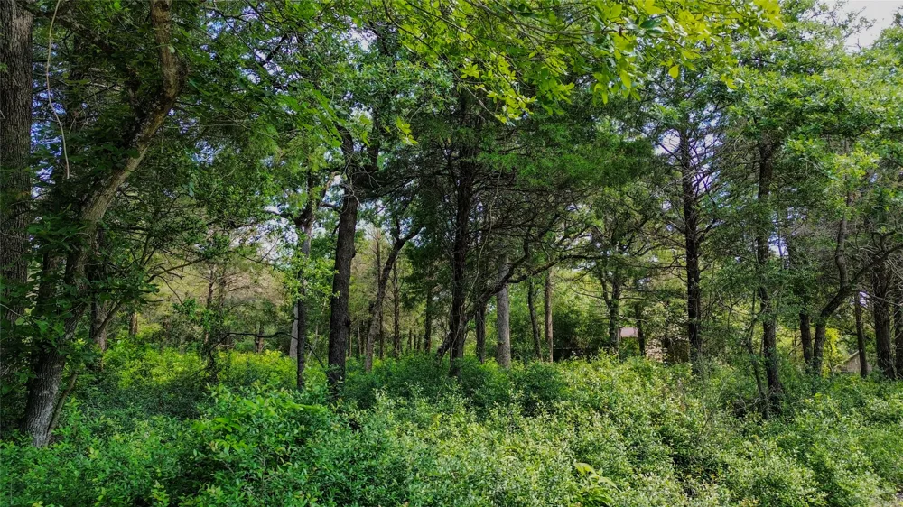 Phillips Street W Lexington, TX 78947