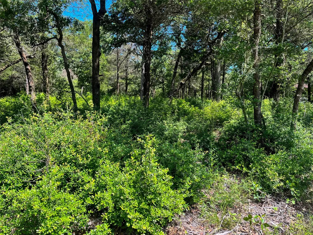 Phillips Street W Lexington, TX 78947