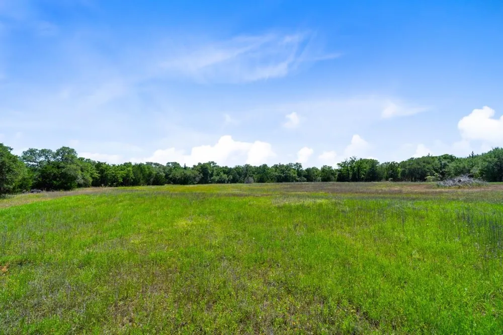 1019 Deerfield Court Weimar, TX 78962