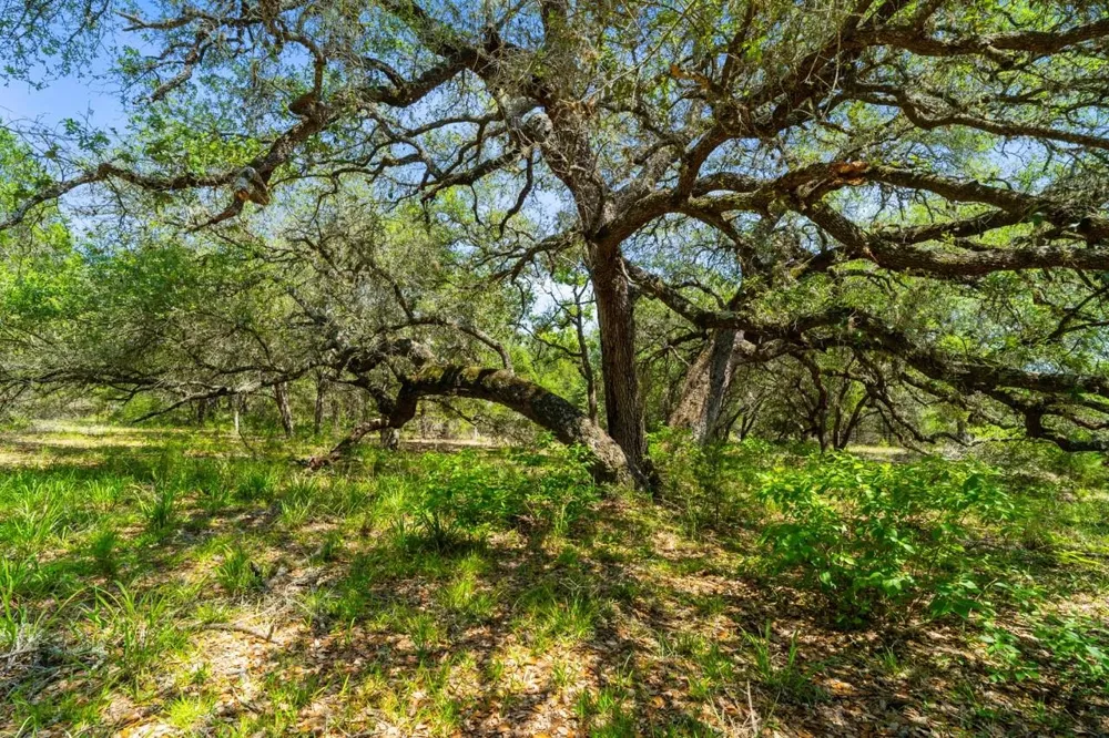 1019 Deerfield Court Weimar, TX 78962
