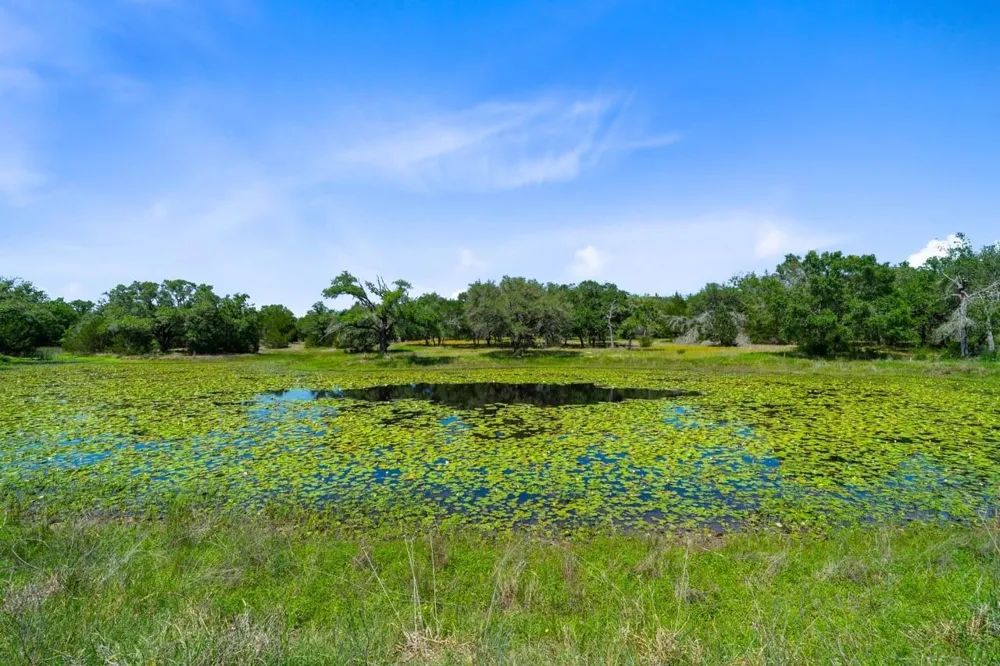1019 Deerfield Court Weimar, TX 78962