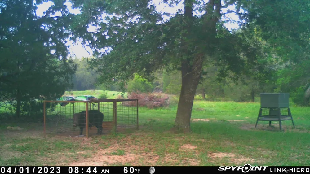1019 Deerfield Court Weimar, TX 78962