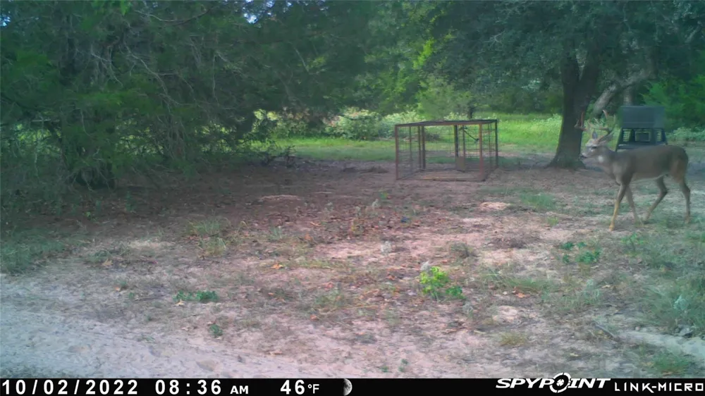 1019 Deerfield Court Weimar, TX 78962