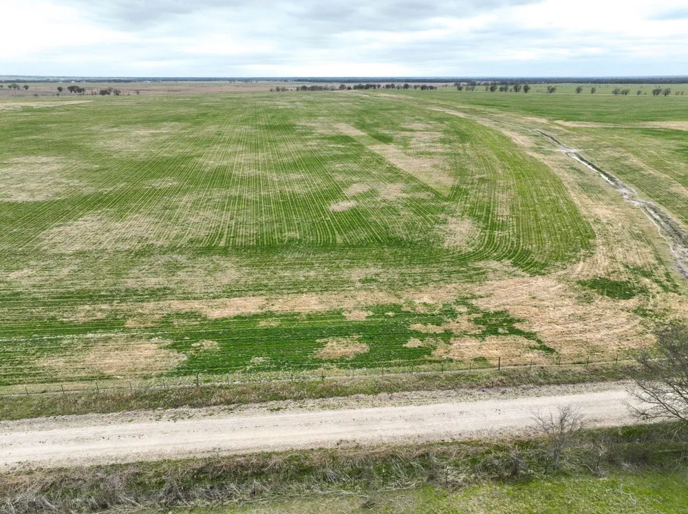 16 County Road  129 Marlin, TX 76661