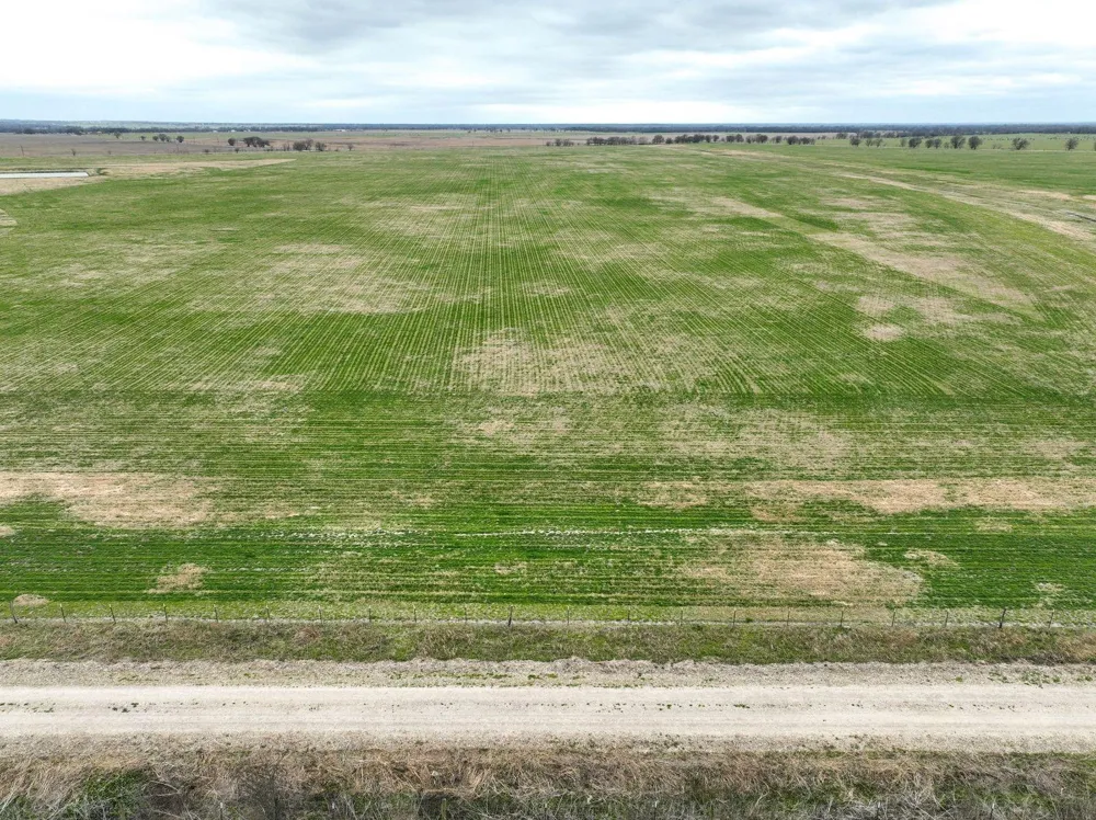 16 County Road  129 Marlin, TX 76661