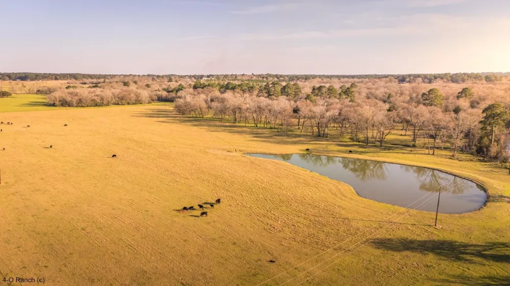 1009 County Road 324 Navasota, TX 77868