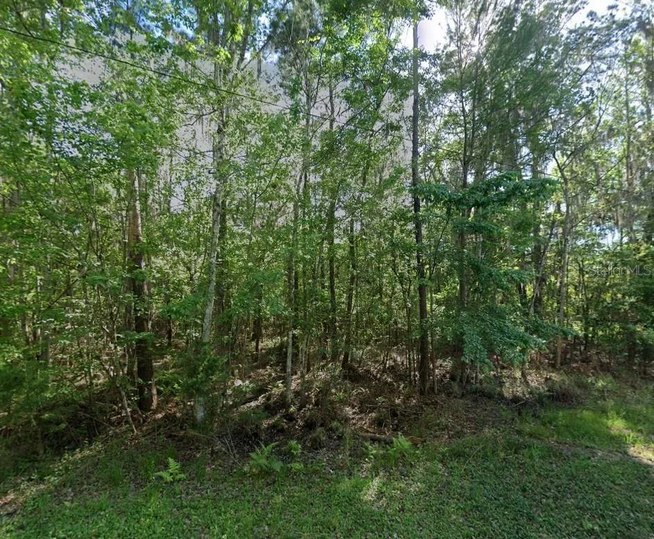 21779 NE 115TH AVENUE Earleton, FL 32631