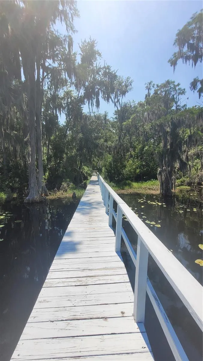 21779 NE 115TH AVENUE Earleton, FL 32631