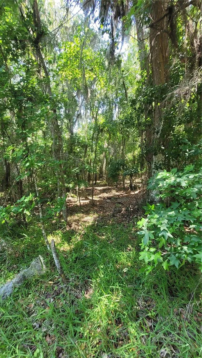 21779 NE 115TH AVENUE Earleton, FL 32631