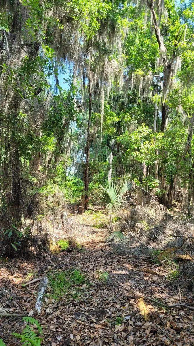 21779 NE 115TH AVENUE Earleton, FL 32631