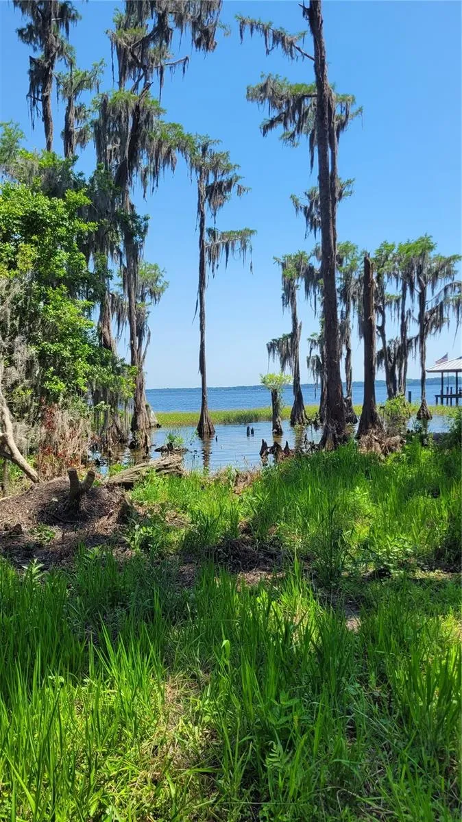 21779 NE 115TH AVENUE Earleton, FL 32631