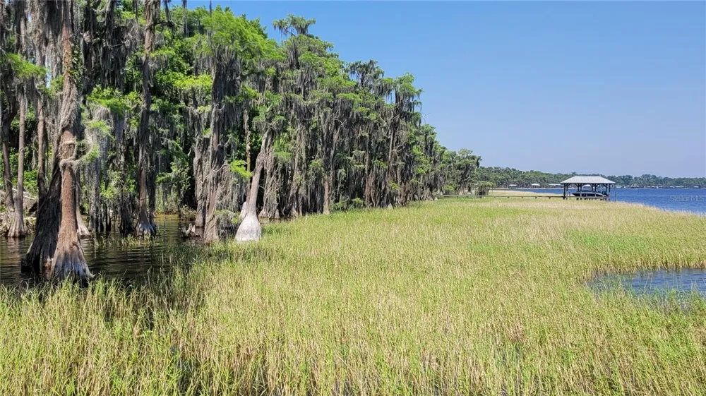 21779 NE 115TH AVENUE Earleton, FL 32631