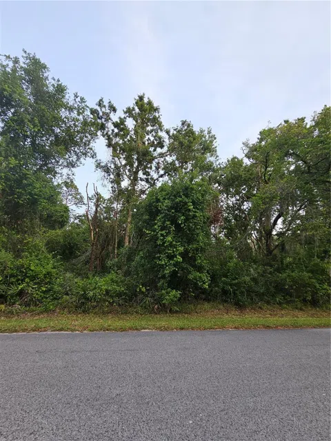 00 GURNEE AVENUE