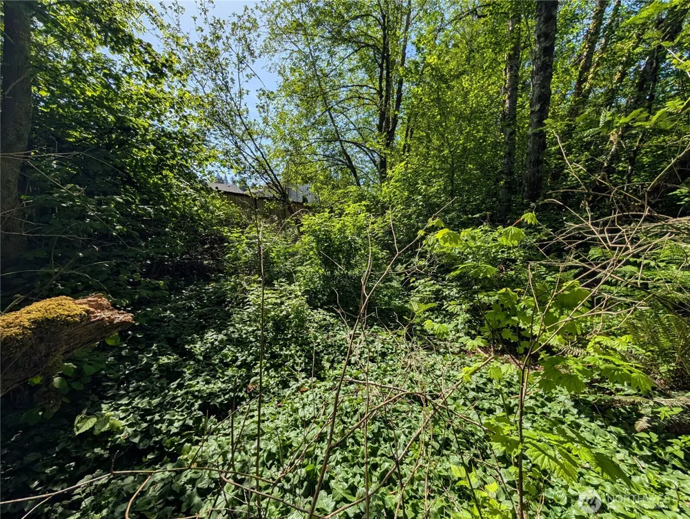 0 xxx Trosper Road SW Tumwater, WA 98512