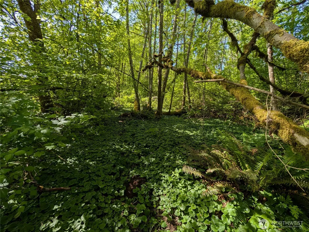 0 xxx Trosper Road SW Tumwater, WA 98512