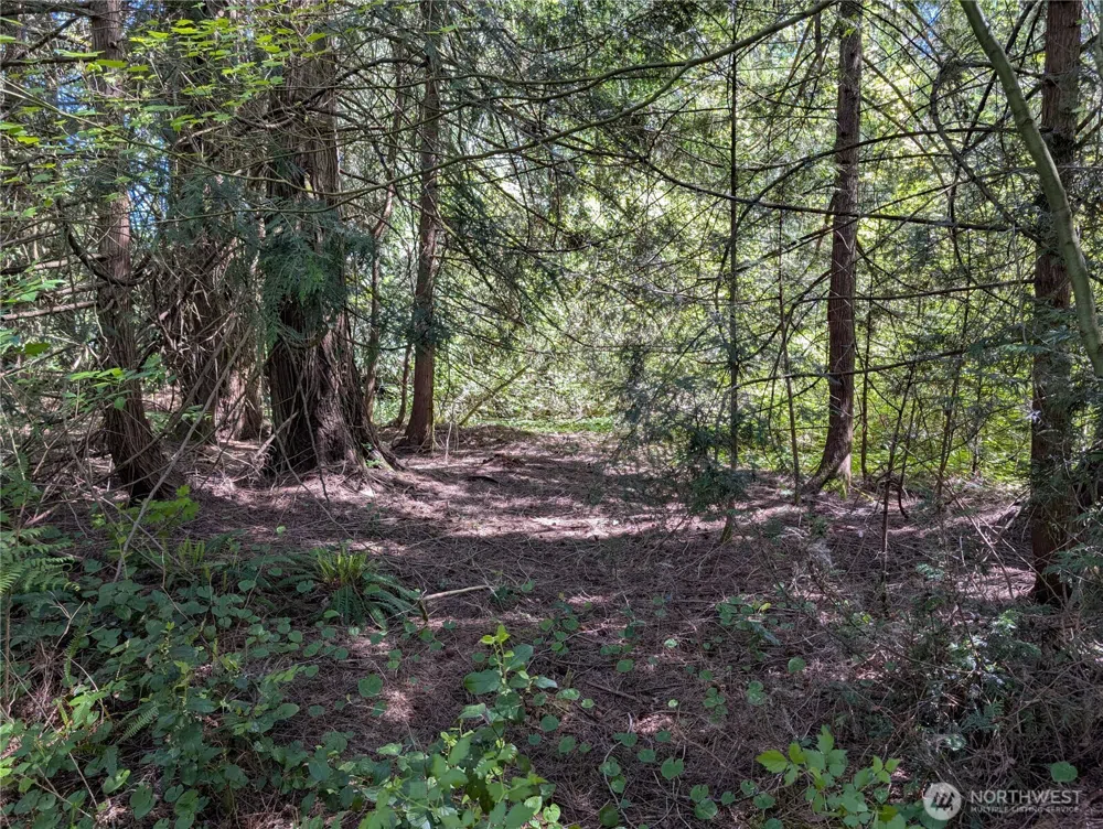 0 xxx Trosper Road SW Tumwater, WA 98512