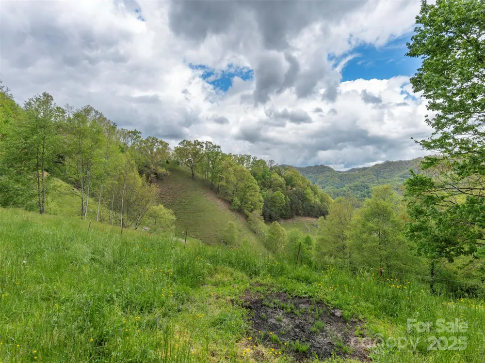 00 Quest Cove Clyde, NC 28721