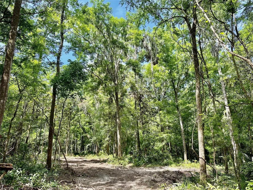 12100 NW US HIGHWAY 441 Gainesville, FL 32653