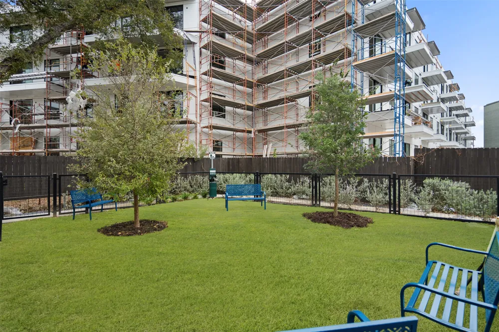 2505 Bluebonnet Avenue #5 Austin, TX 78704