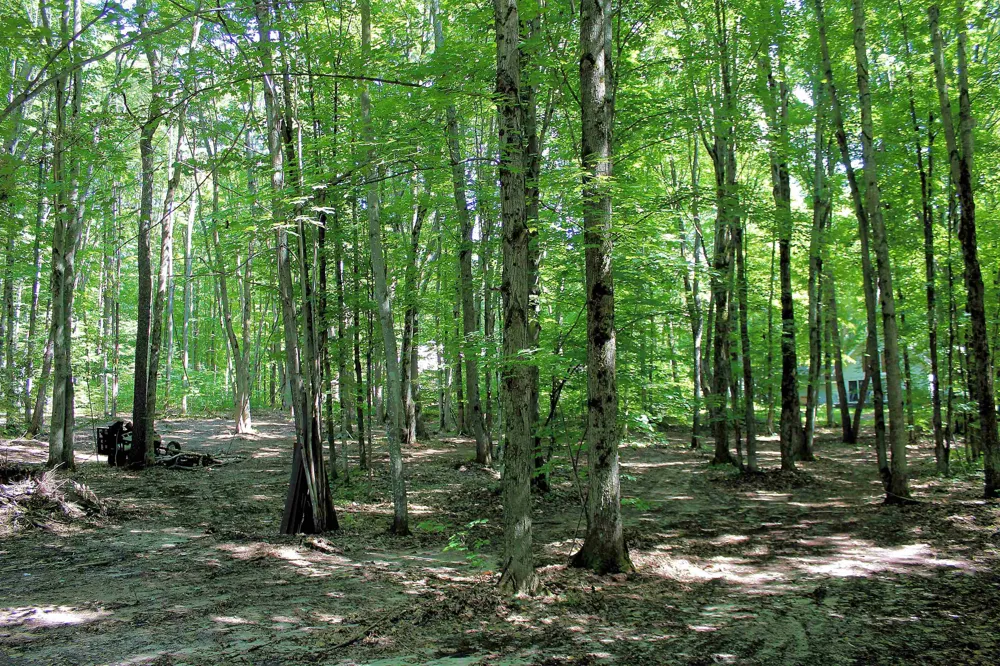 NE Chwastek Road Coldsprings Township, MI 49646