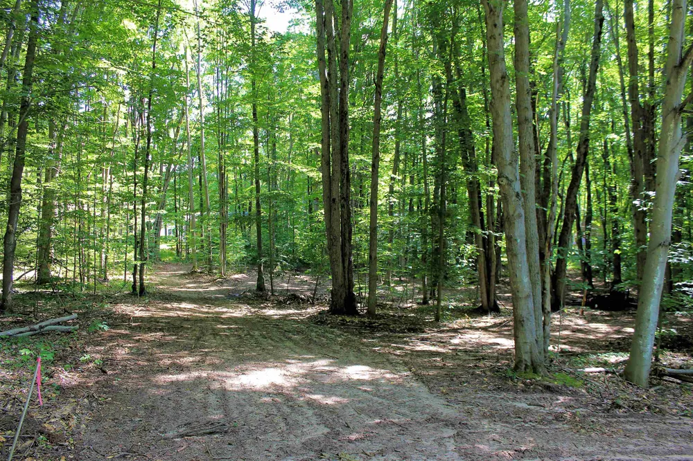NE Chwastek Road Coldsprings Township, MI 49646