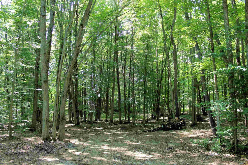 NE Chwastek Road Coldsprings Township, MI 49646