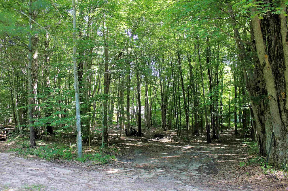 NE Chwastek Road Coldsprings Township, MI 49646