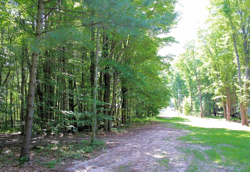 NE Chwastek Road Coldsprings Township, MI 49646