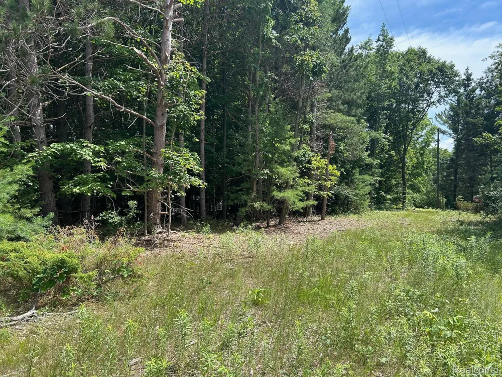 0 Eddie Way Traverse City City, MI 49685