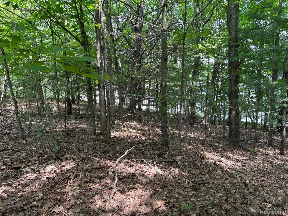 0 Eddie Way Traverse City City, MI 49685