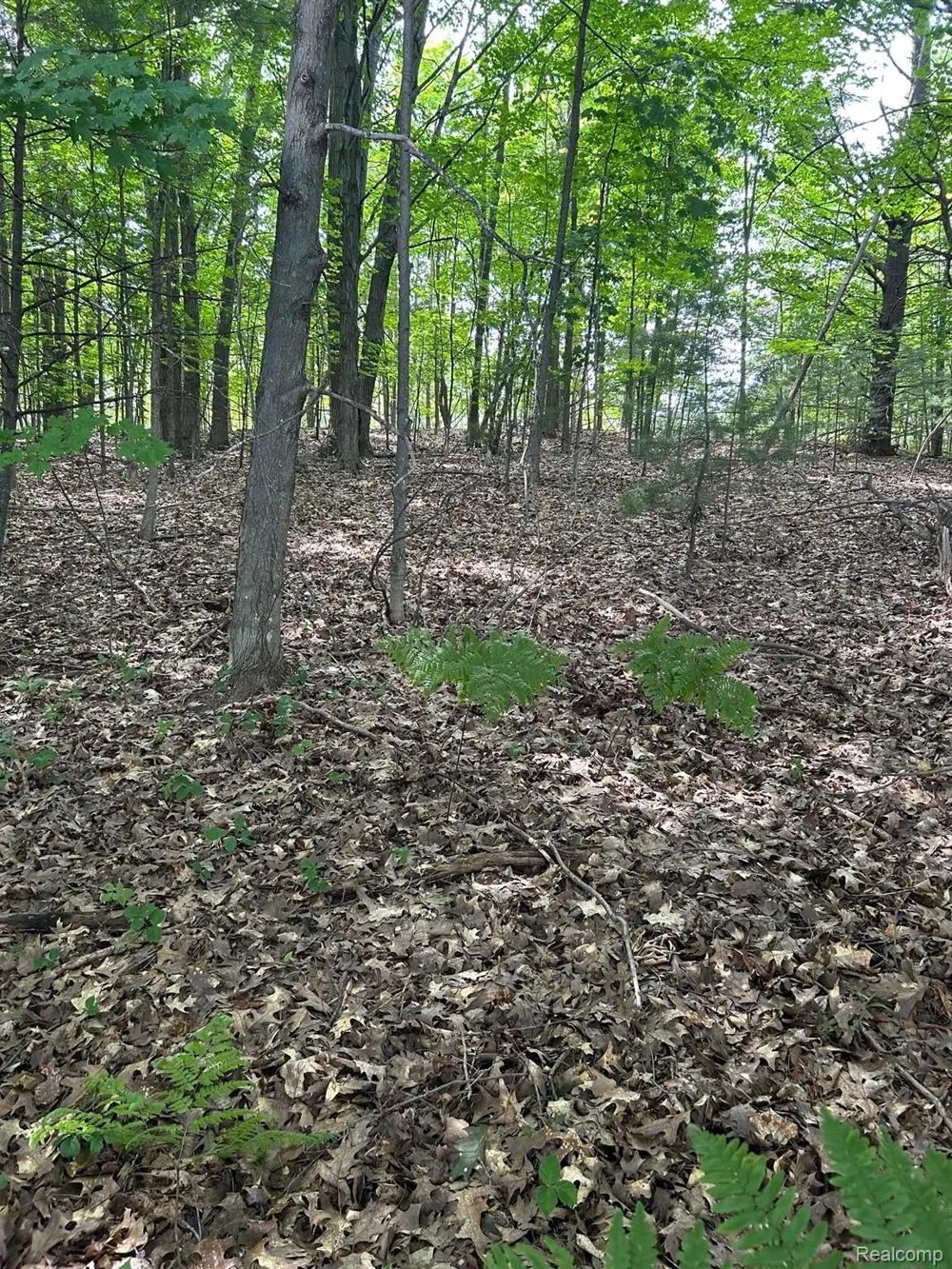 0 Eddie Way Traverse City City, MI 49685