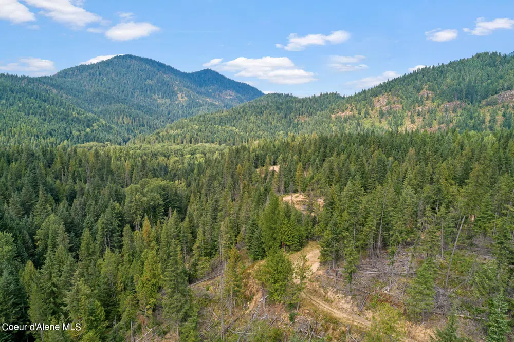 9076 CDA River Road Kingston, ID 83839