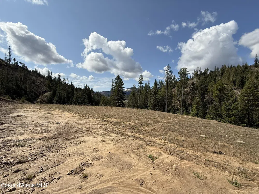 Lot 10 Patriot's Paradise Fernwood, ID 83830