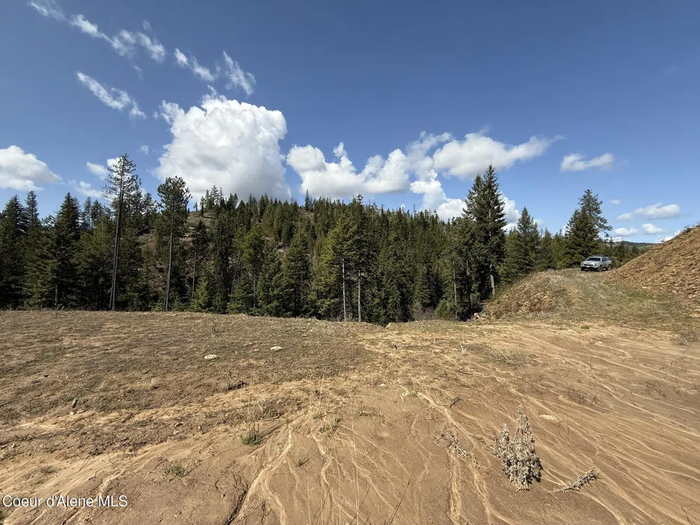Lot 10 Patriot's Paradise Fernwood, ID 83830