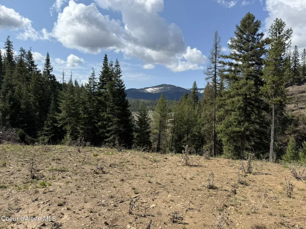 Lot 10 Patriot's Paradise Fernwood, ID 83830
