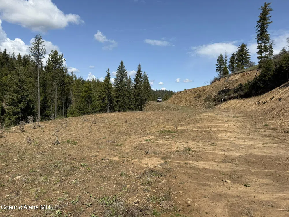 Lot 10 Patriot's Paradise Fernwood, ID 83830