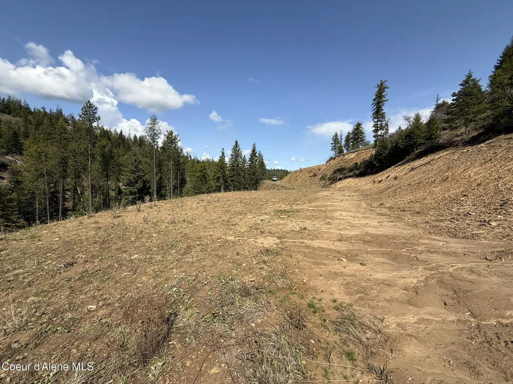 Lot 10 Patriot's Paradise Fernwood, ID 83830