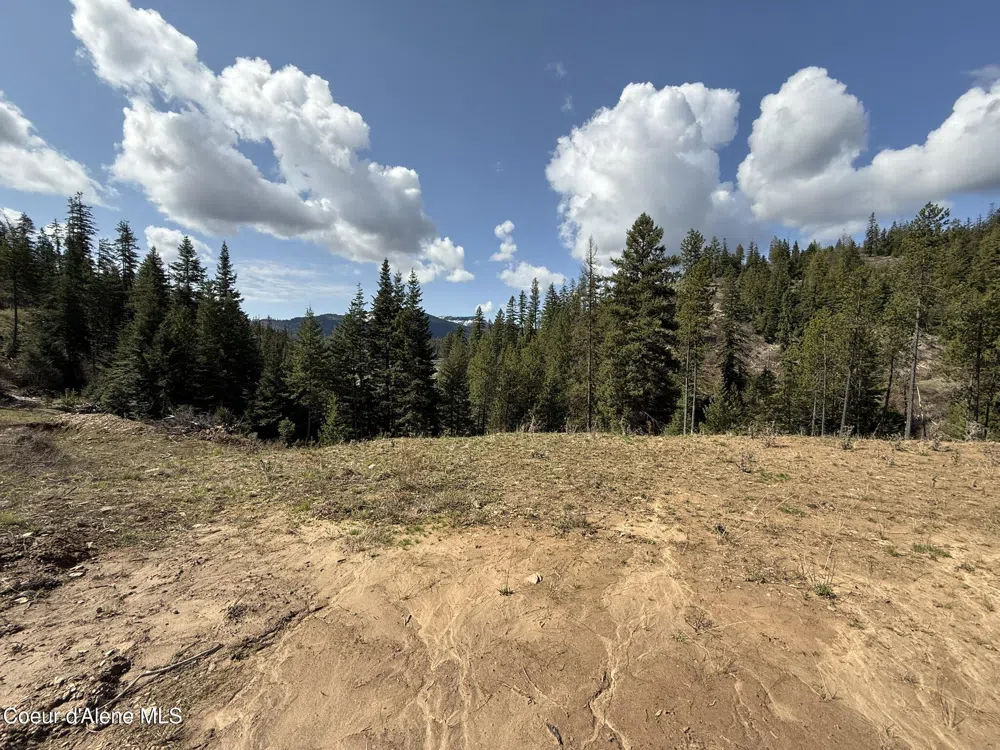 Lot 10 Patriot's Paradise Fernwood, ID 83830