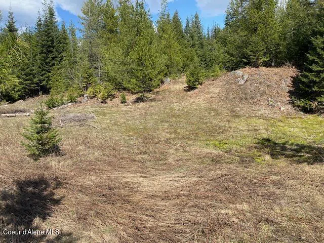 NNA Upper Gold Crk Road Sandpoint, ID 83864