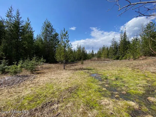 NNA Upper Gold Crk Road Sandpoint, ID 83864