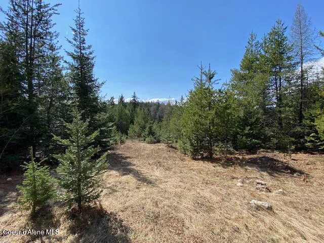 NNA Upper Gold Crk Road Sandpoint, ID 83864