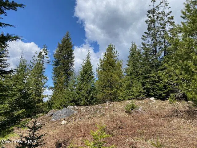 NNA Upper Gold Crk Road Sandpoint, ID 83864