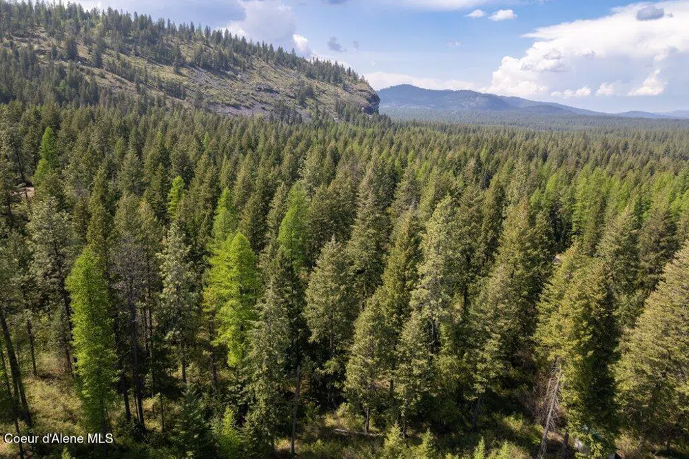 NKA Pauls Lane Athol, ID 83801