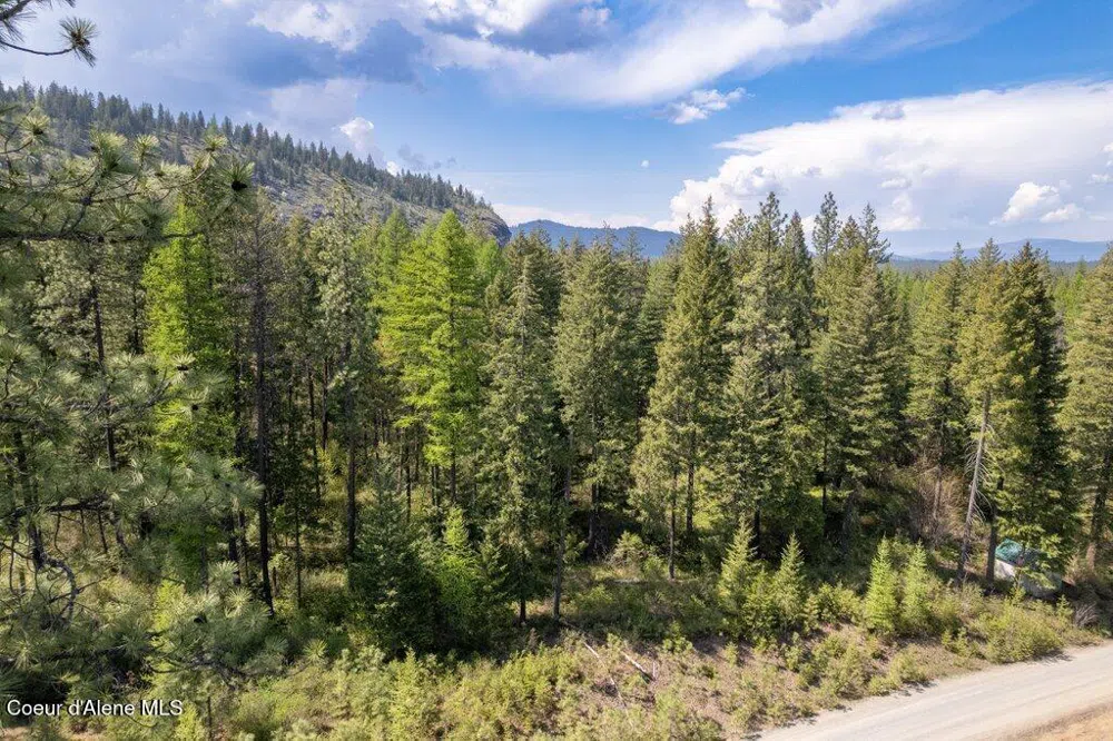 NKA Pauls Lane Athol, ID 83801