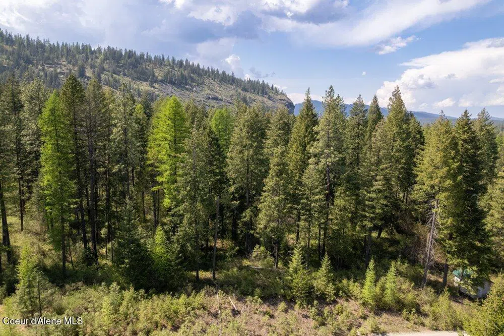 NKA Pauls Lane Athol, ID 83801