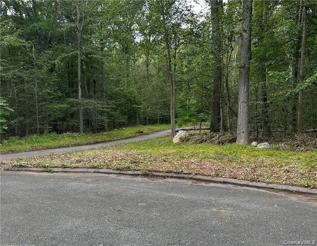Lot 13 Florence Drive Somers, NY 10541