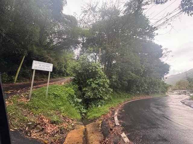 816 BO NUEVO Bayamón, PR 00956