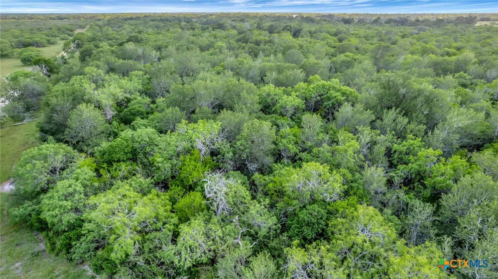 San Antonio River Road Victoria, TX 77905