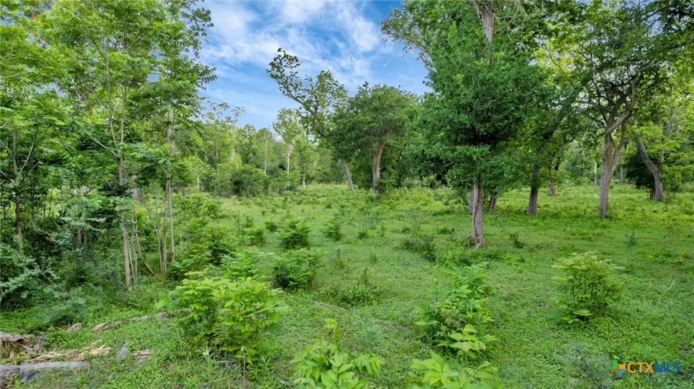 San Antonio River Road Victoria, TX 77905