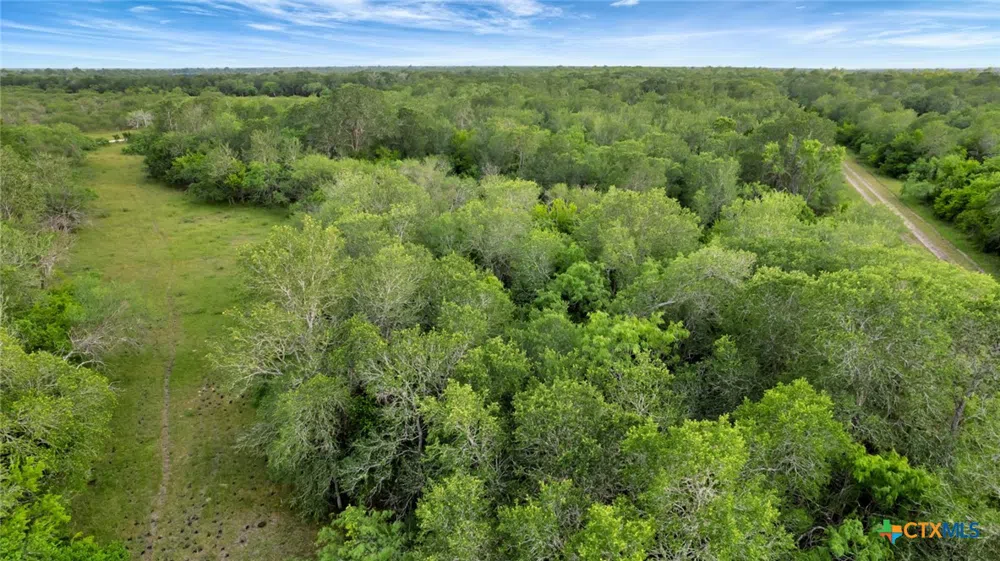 San Antonio River Road Victoria, TX 77905